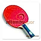 DHS Tek Yıldız Masa Tenisi raketi