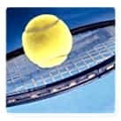 Tenis