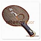 DHS 8-Hurricane King 3 Tahta