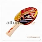 Butterfly Timo Boll Bronze Masa Tenisi Raketi