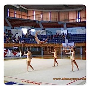 Cimnastik Yer Minderi 14m X 14m FIG Onaylı GYMNOVA