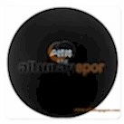 4 Kg Kauçuk Salon Güllesi