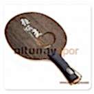 DHS Hurricane King Tahta