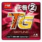 DHS Tg2-N Skyline Raket Lastiği