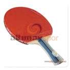 DHS İki Yıldız Masa Tenisi raketi