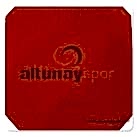 DHS Tin Arc 2 Raket Lastiği